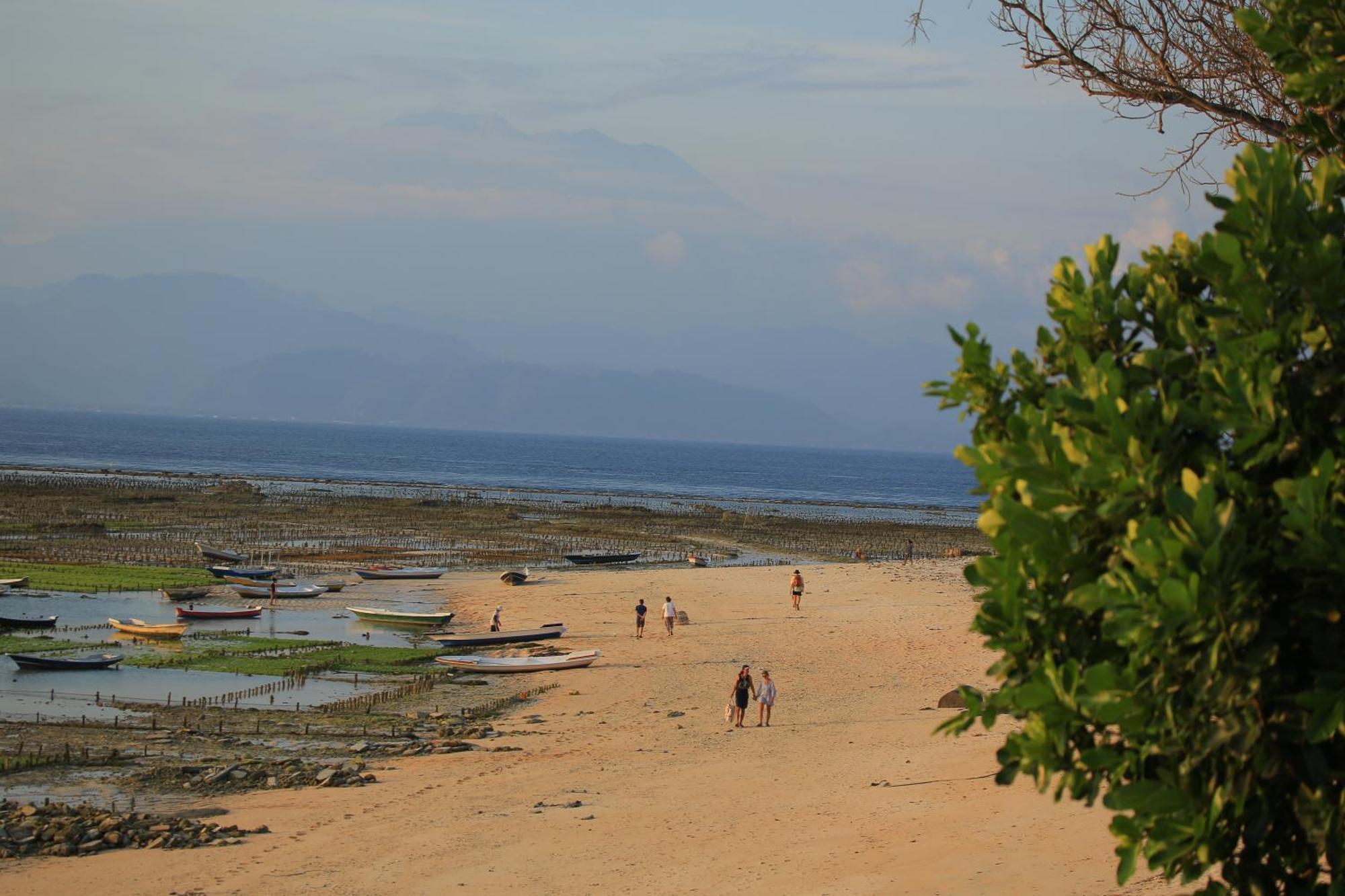 3 Monkeys Lembongan Gym Recovery Centre *